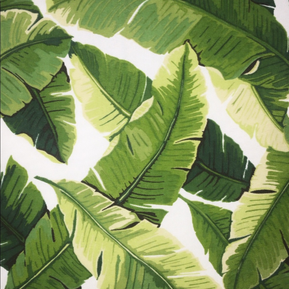 Hello & welcome to @Mommasharkbtq!